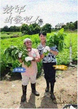 开麦时间 音乐竞演综艺在线看封面